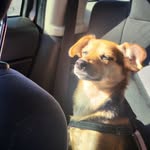 Antonio Harper - @abbioantonio - Instagram