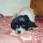 Antonio Largaespada Escobar - @antonio__escobar._ - Instagram