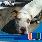 Antonio Lawrence - @antonio.lawrence - Instagram