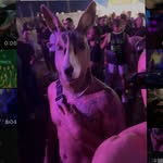 Antonio Leonardo - @leonardo_antonio.ss - Instagram