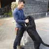 Antonio Lipari802 - @antonio.lipari - TikTok
