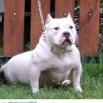 Antonio Lofton - @antoniolofton - Instagram