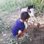 Antonio Manelli - @antoniomanelli - Instagram