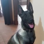 Antonio Aguilar Marrufo - @antonioaguilarmarrufo - Instagram