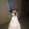 Antonio Marrufo - @antonio.marrufo81 - TikTok
