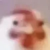 antoniomayer78 - @antoniomayer78 - TikTok