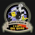 Antonio Antonio Mazzarelli - @i.lupi.del.quad - Instagram