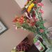 Antonio Medrano - Facebook