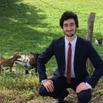Antonio Meneses - @antonio7meneses - Instagram