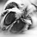 Antonio Miranda - Facebook