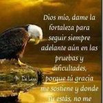 Antonio Barquero Mullins - @barqueromullins - Instagram