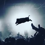 Antonio Niccolini - @antonioniccolini - Instagram