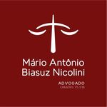 Mário Antônio Biasuz Nicolini - @marionicoliniadvogado - Instagram