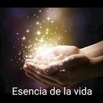 Antonio Parada - @antonio.paradasobra20 - Instagram
