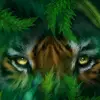 antoniopeluso2702 sscn1926 - @antoniopeluso2702 - TikTok