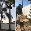 Antonio Peter93 - @antoniopeter93 - TikTok