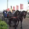 António Piedade8141 - @antoniopiedade3 - TikTok