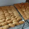 antoniopiedade5 - @antoniopiedade5 - TikTok