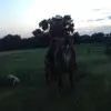 Antonio Piña - @antonio_pina423 - TikTok
