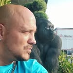 Antonio Polizzi - @antoniofc76 - Instagram