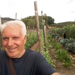 Antonio Raso - @antonio.raso.5015 - Instagram