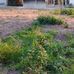 Antonio Renato - Facebook