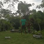 Antonio Risco Jara - @antonio_risco_jara - Instagram