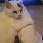 Antonio.risco.campos - @antonio.risco.campos2 - Instagram