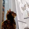 Antonio Roa - @antonio.roa8 - TikTok