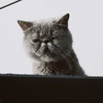 Antonio Rojo - @antoniorojophoto - Instagram