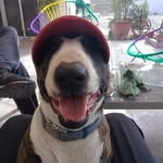 Antonio Rojo - @antonio.rojo.710 - Instagram