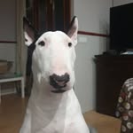 antonio rojo - @antonio_rojo_rabadan - Instagram