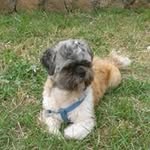 Roselli Antonio - @roselli.antonio.7 - Instagram