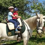 Antonio Sarmiento Alcalde - @sarmientoalcalde - Instagram