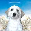 ANTONIO Sarmiento - @antonio.sarmiento67 - TikTok