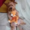 antoniosicari292 - @antoniosicari292 - TikTok
