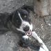 Antonio Skinner - Facebook