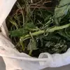 Antonio Smith - @antonio.smith16 - TikTok