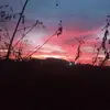 antoniosnowden936 - @antoniosnowden936 - TikTok