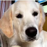 Antonio solari - @solari7361 - Instagram
