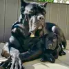 antoniosolazzo - @solazzotoni - TikTok
