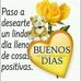 Antonio Soliz - Facebook