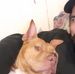 Antonio Soliz - Facebook