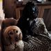 Antonio Somma - Facebook