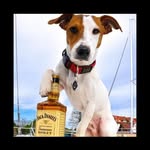Antonio Soprano - @antonio.soprano.1401 - Instagram