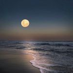 Antonio Soprano - @soprano2055 - Instagram