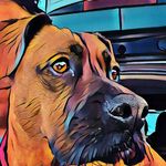 Antonio Spadafora - @spadafora480 - Instagram