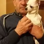 Antonio Spadafora - @antonio.spadafora.543 - Instagram