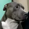 Spike Antonio - @spikeantonio - TikTok