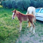 Antonio Spinelli - @antonio.spinelli.58323 - Instagram